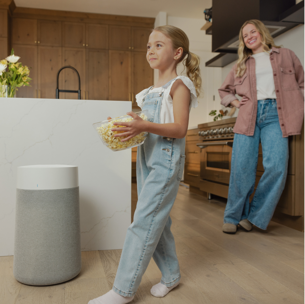 Choosing an air purifier for large, multi-function spaces