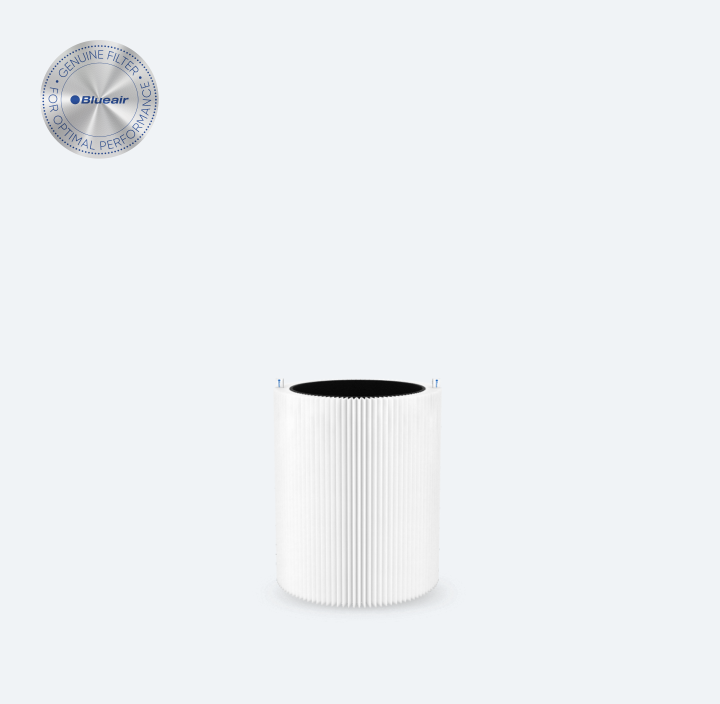 Blue 3410 Series Particle + Carbon Filter