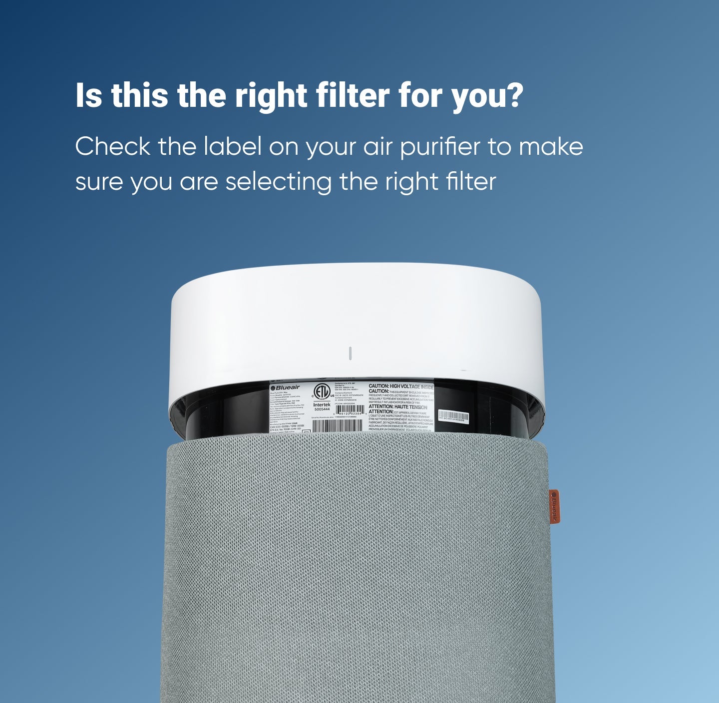 Blue Pure 511i Max Particle + Carbon Filter