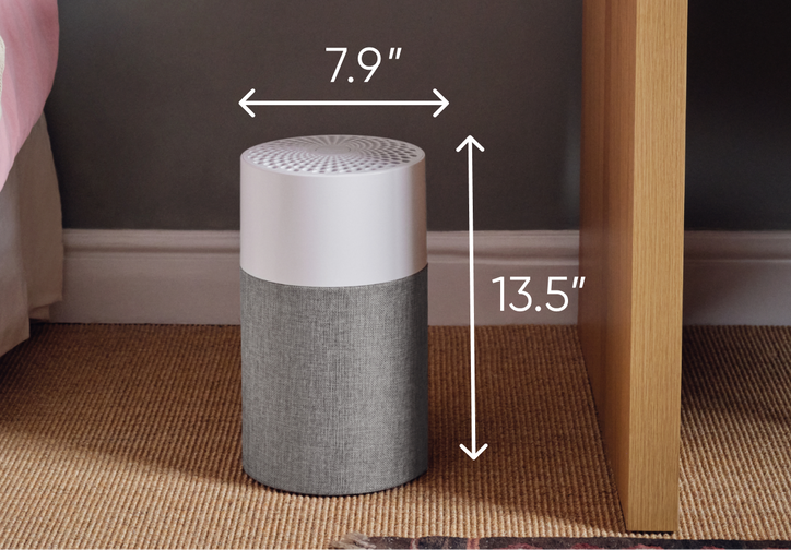 Elevate Your Dorm Life With Clean Air