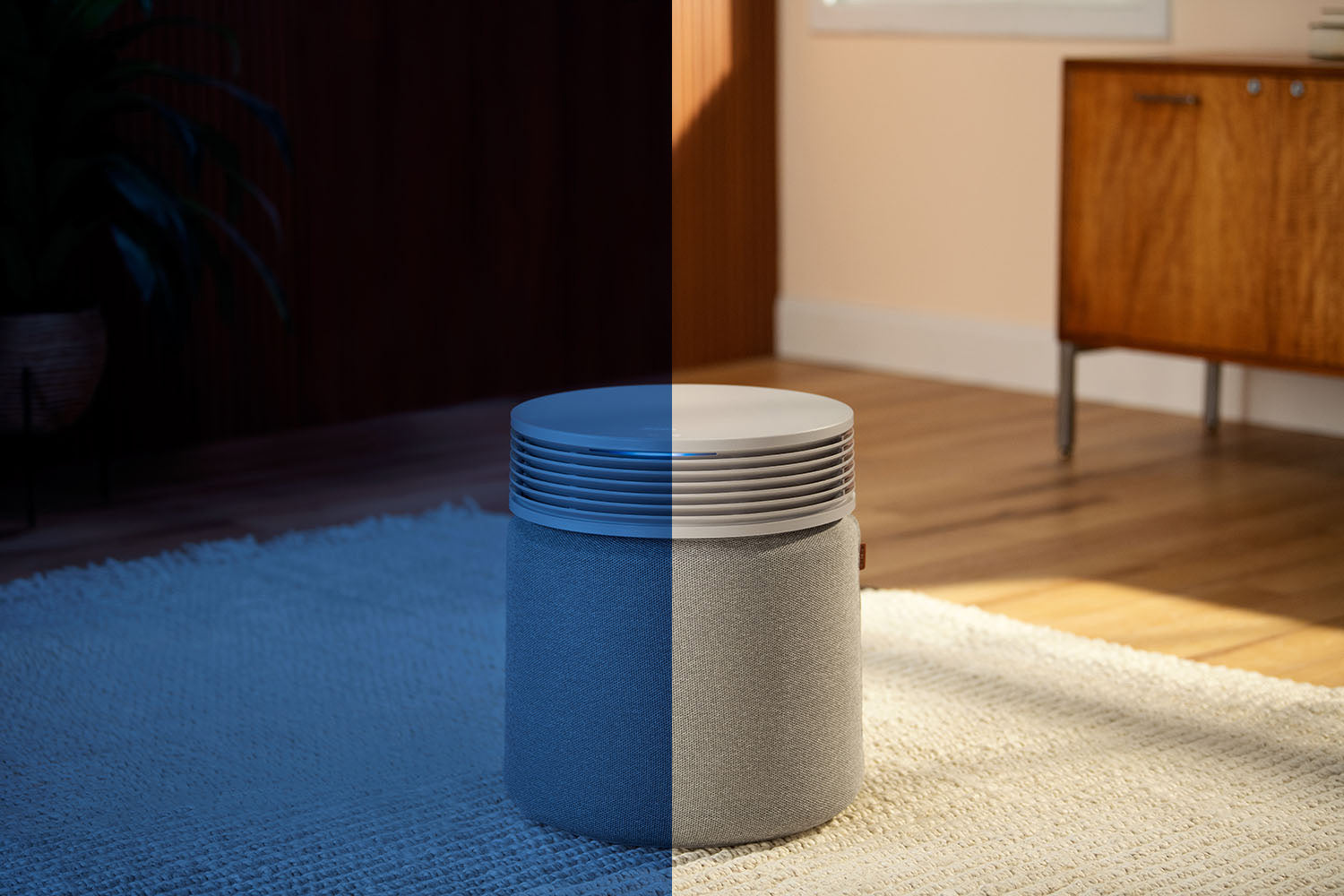 How Air Quality Governs Your Circadian Rhythm