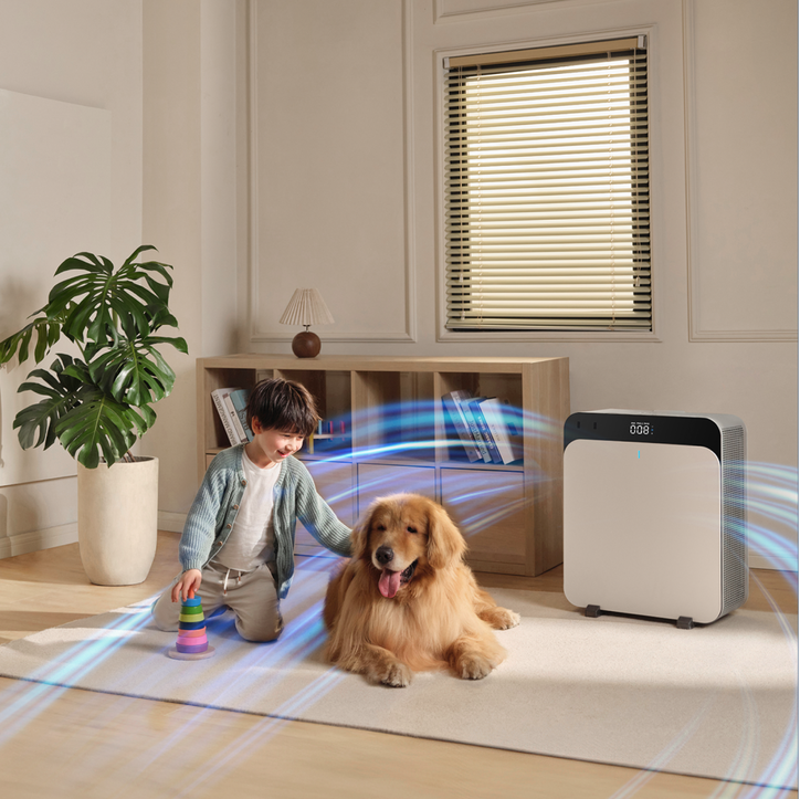 Removing toxins from your indoor air