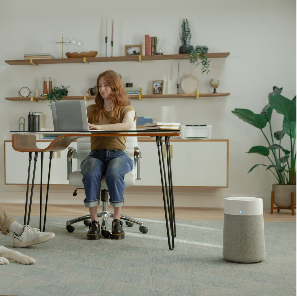 What to look for in a small room air purifier