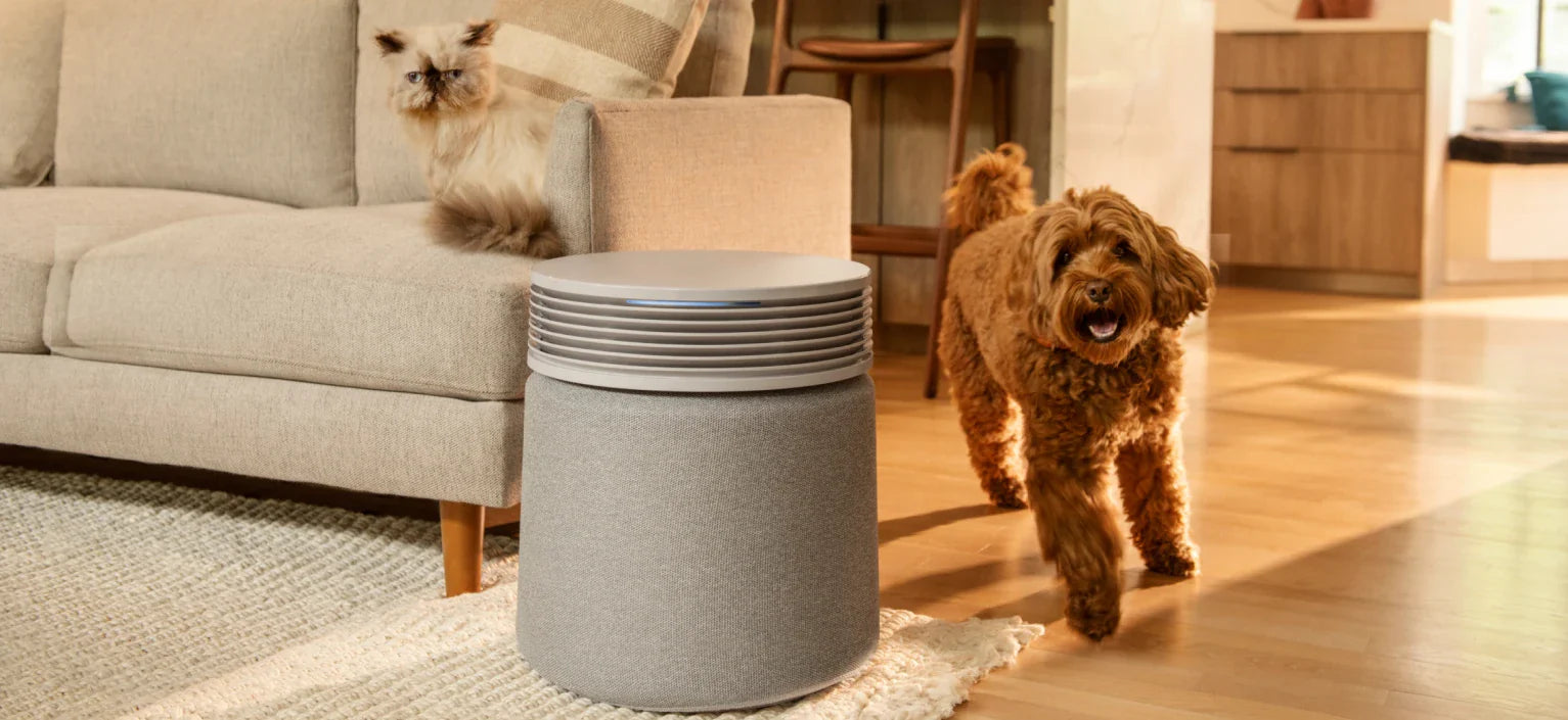 Air purifiers