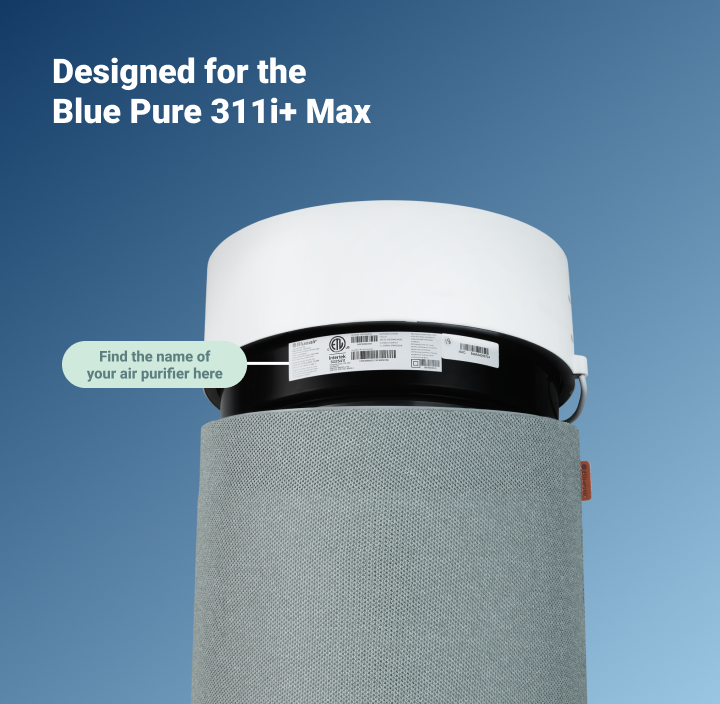 Blue Max 3450i Particle + Carbon Filter
