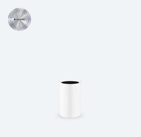 411 3210 Series Particle + Carbon Filter