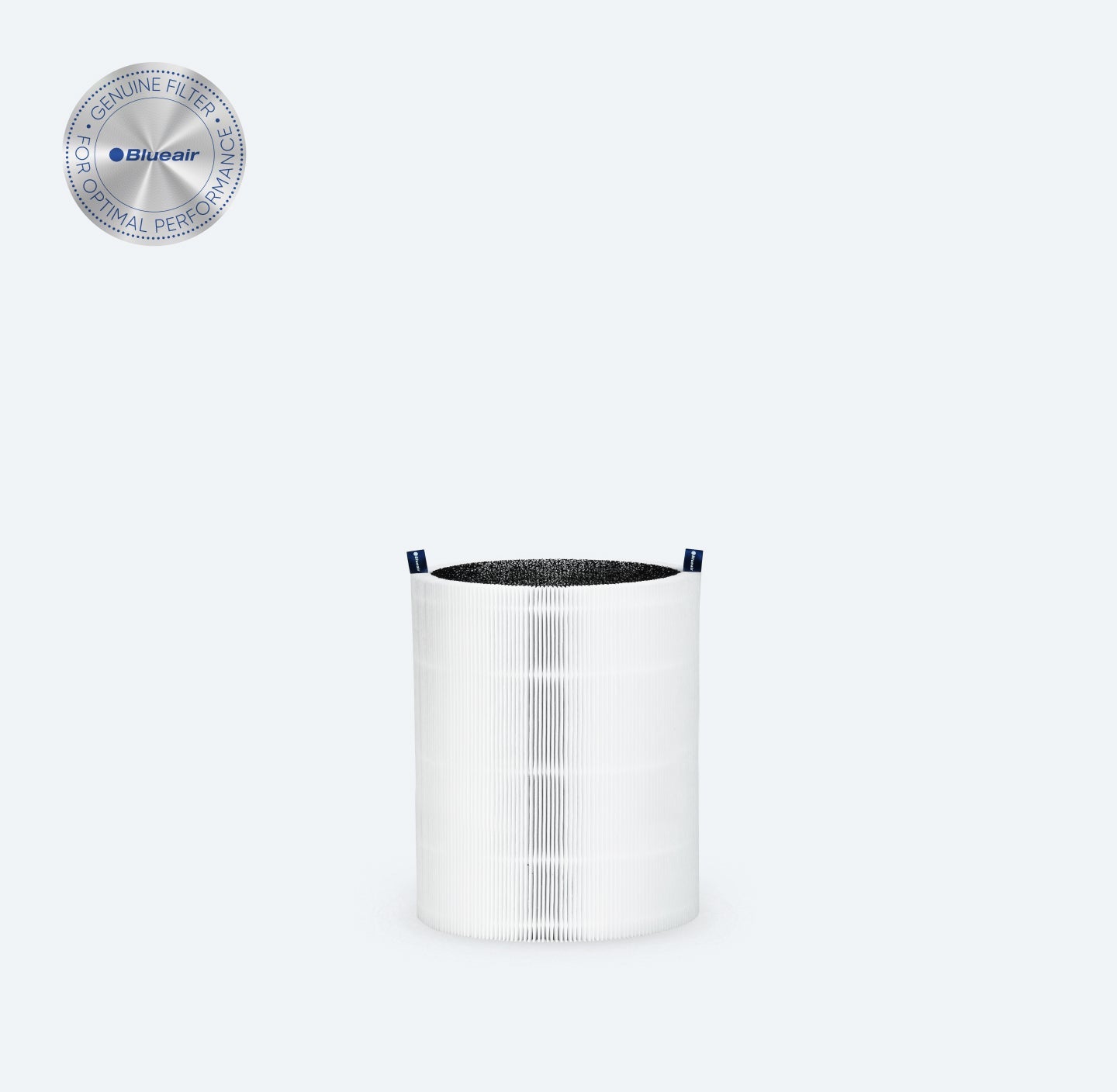 Blue 3350i Max Particle + Carbon Filter