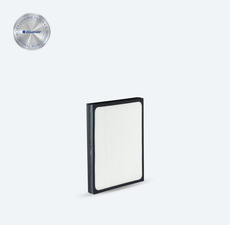 Classic 200 Series Particle Filter