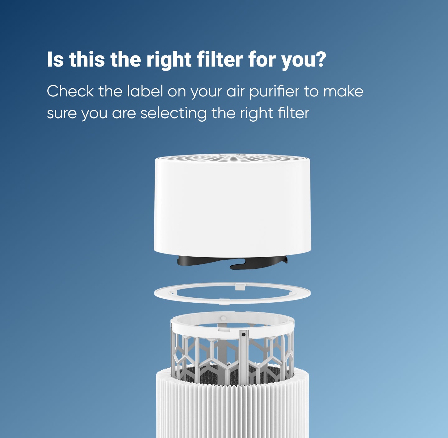 Blue 3410 Series Particle + Carbon Filter
