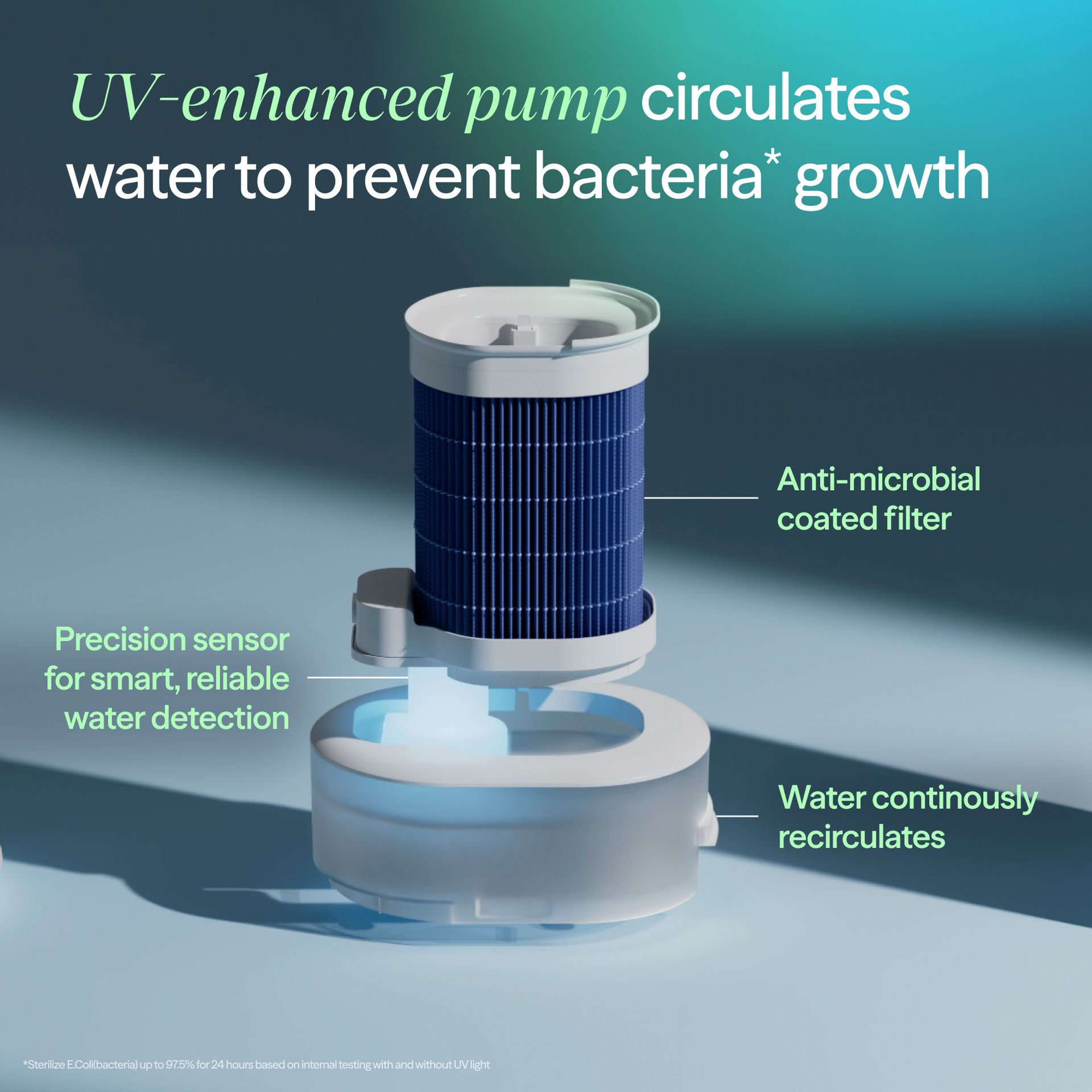 2-in-1 Purify + Humidify