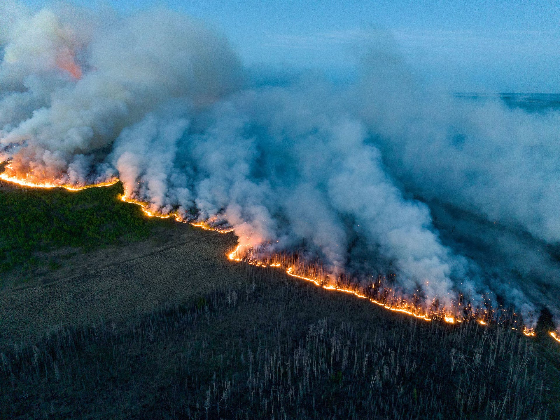 2025 US Wildfire Support