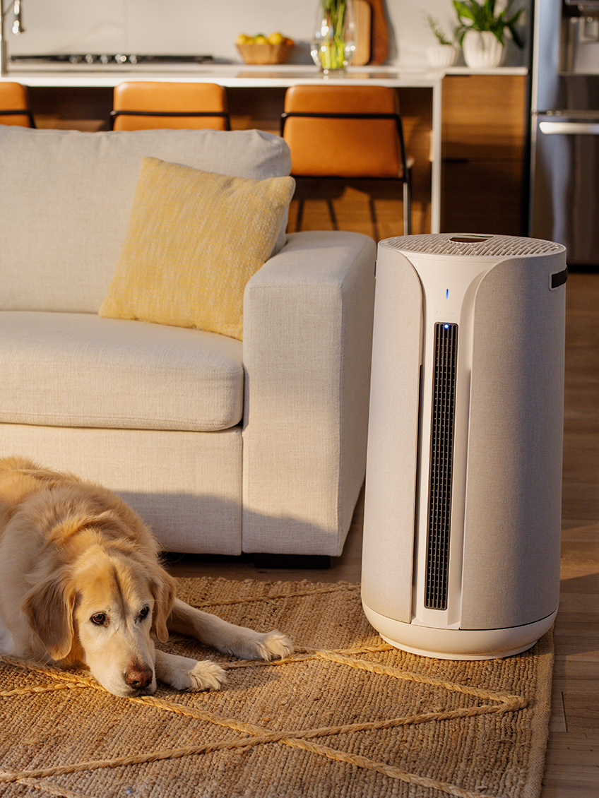 Heat, Cool, Purify